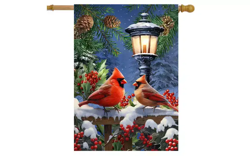 Briarwood Lane Winter House Flag 40x28 For Outdoor Winter Glow Cardinals For Winter House Flag