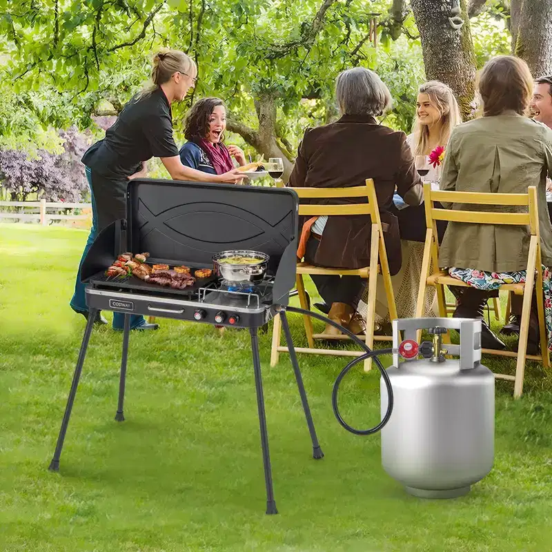 Costway 2-in-1 Propane Grill 2 Burner Camping Gas Stove Portable with Removable Leg Black