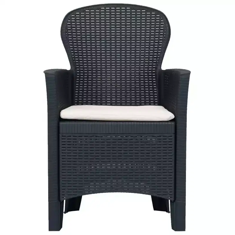 vidaXL Bistro Set Set of 2 Anthracite Plastic with rattan look Standard