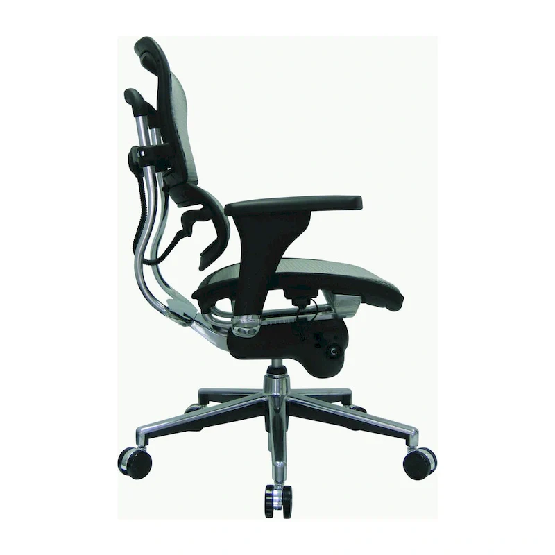 Ergohuman Mesh Managers Chair