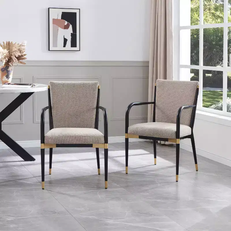 Christopher Knight Home Viola Modern Upholstered Dining Arm Chairs (Set of 2)