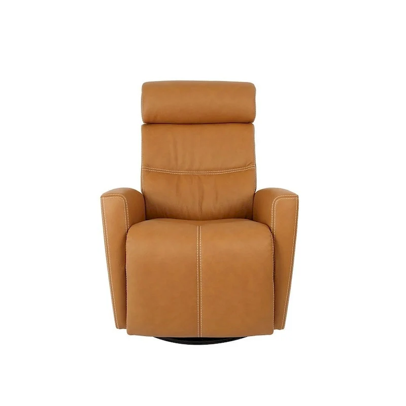 Leather Swing Recliner