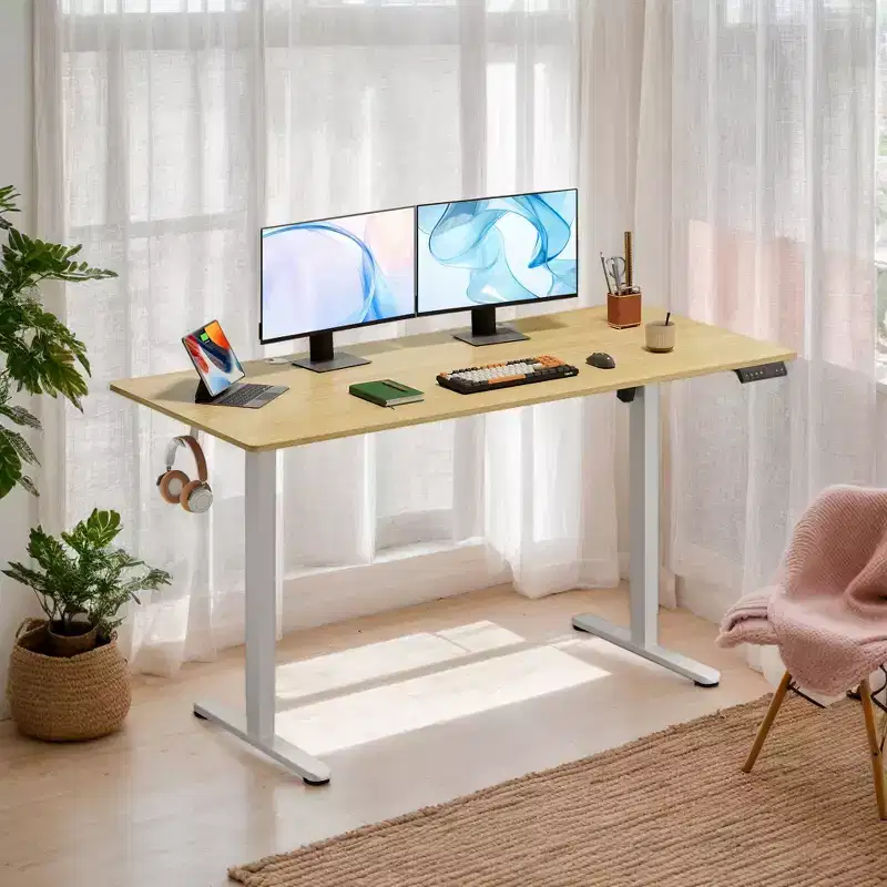 GALAXHERO 63 Electric Standing Desk - Ergonomic Sit-to-Stand Desk with LED Touchscreen, 3 Memory Presets & Hook for Home Office