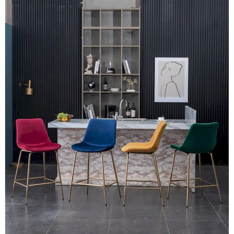 Roundhill Furniture Aufurr Modern Velvet 26.50 Counter Height Stool (Set of 2)