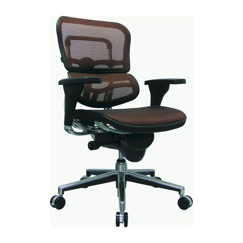 Ergohuman Mesh Managers Chair