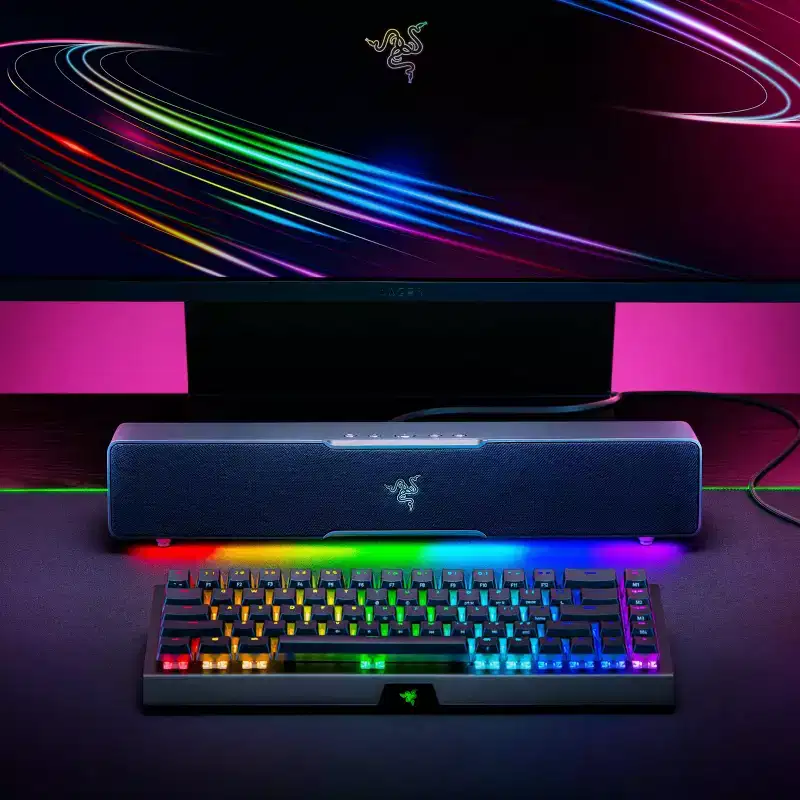 Razer Leviathan V2 X Bluetooth Gaming Speaker with RGB Lighting (1-Piece) - Black: Xbox Compatible