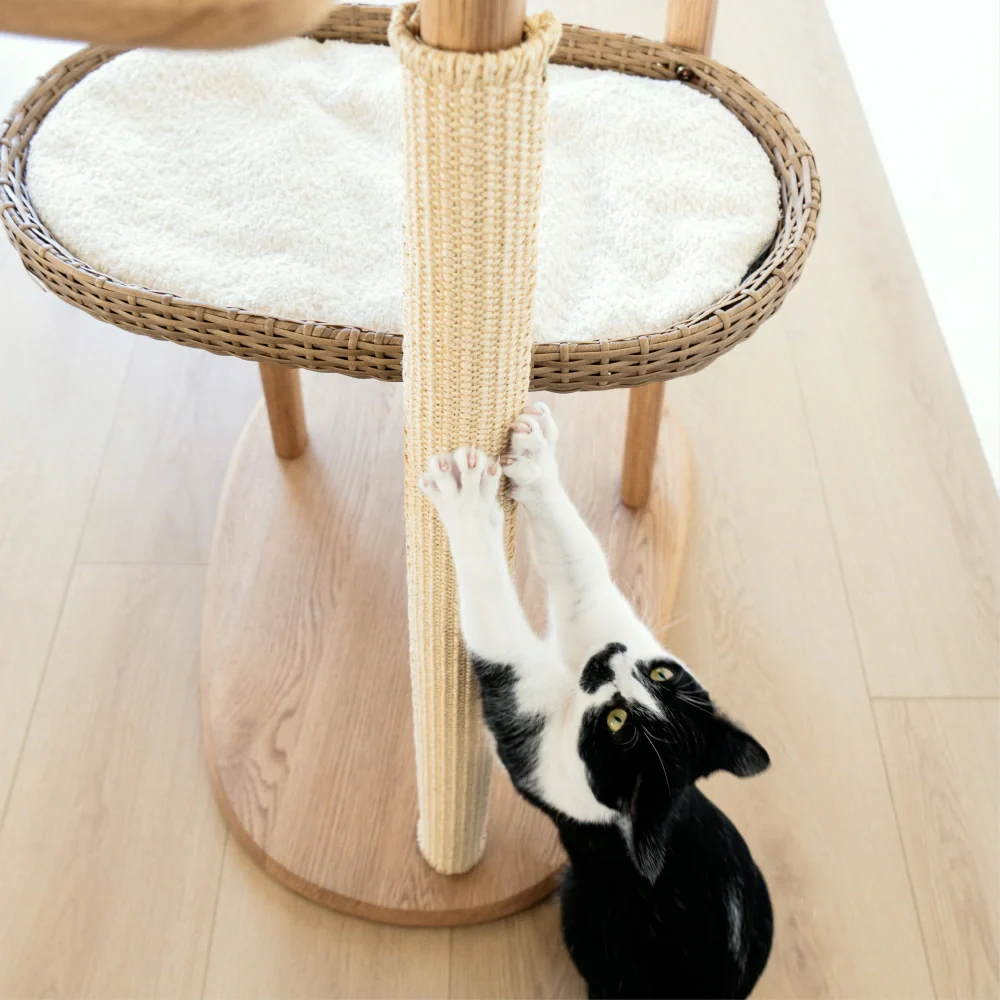 Scratching Pad (For Reiya)