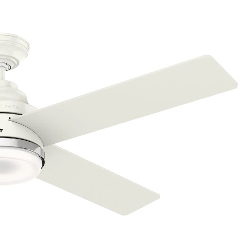 Casablanca 54  Daphne Ceiling Fan with LED Light Kit and Wall Control - Transitional
