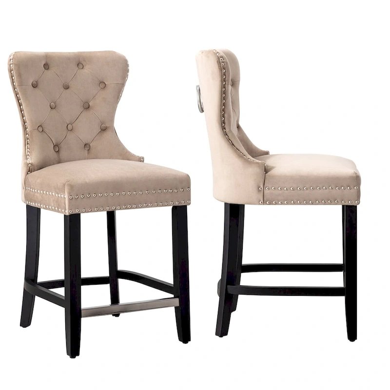 Carter 24  Wingback Tufted Nailhead Counter Stool (Set of 2)