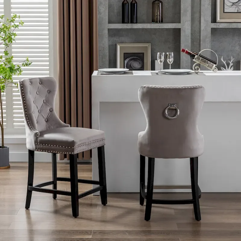 Carter 24  Wingback Tufted Nailhead Counter Stool (Set of 2)