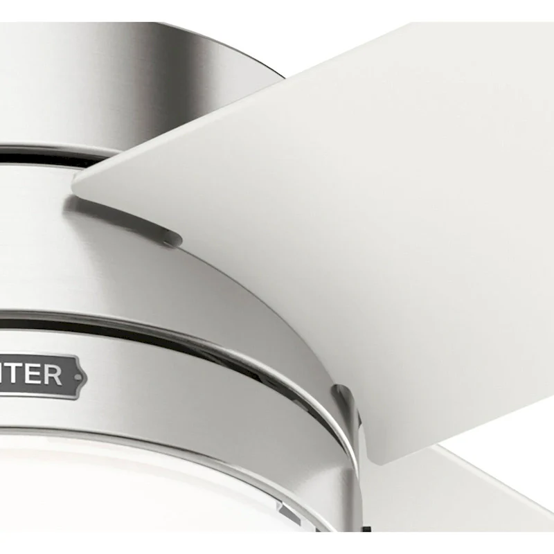 Hunter 52  Timpani Ceiling Fan w/ LED Light, Pull Chain