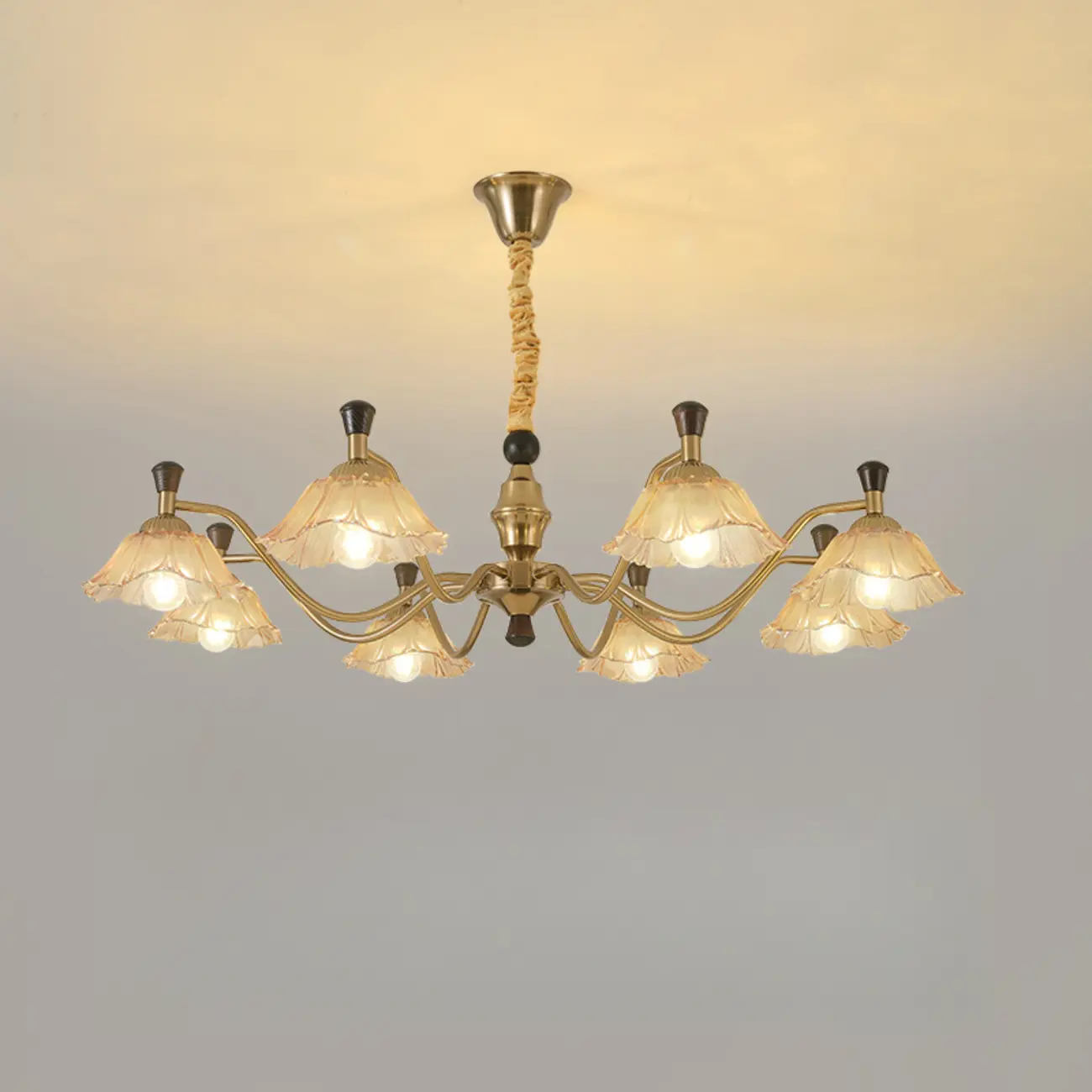 Modern Adjustable Gold Flower Glass Chandelier 6/8 Lights