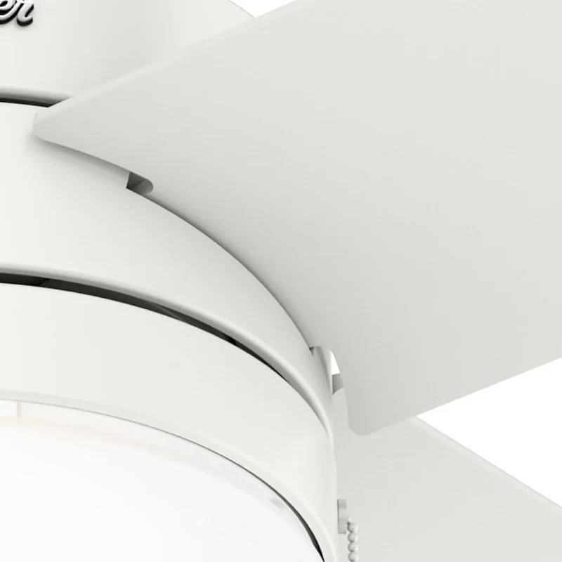 Hunter 52  Timpani Ceiling Fan w/ LED Light, Pull Chain