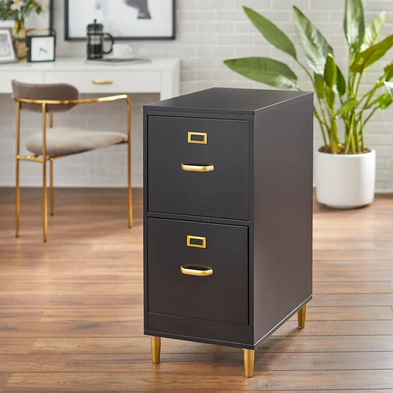2-Drawer Letter-Size File Cabinet with Gold Tone Handles
