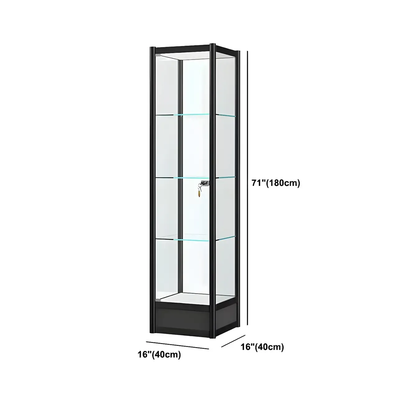 Rectangular Black Clear Glass Metal Frame Curio Cabinet