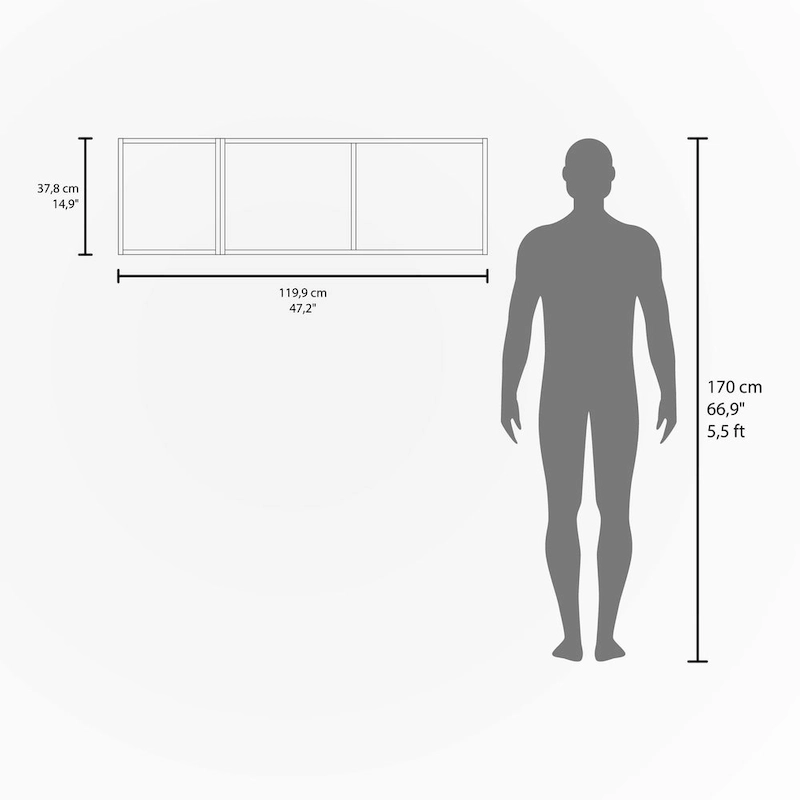 Wall Cabinet with Pneumatic Arms