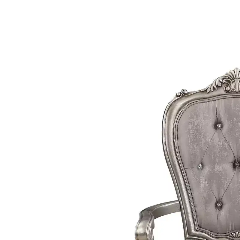 23.25" Ariadne Dining Chair Velvet & Antique Platinum Finish - Acme Furniture