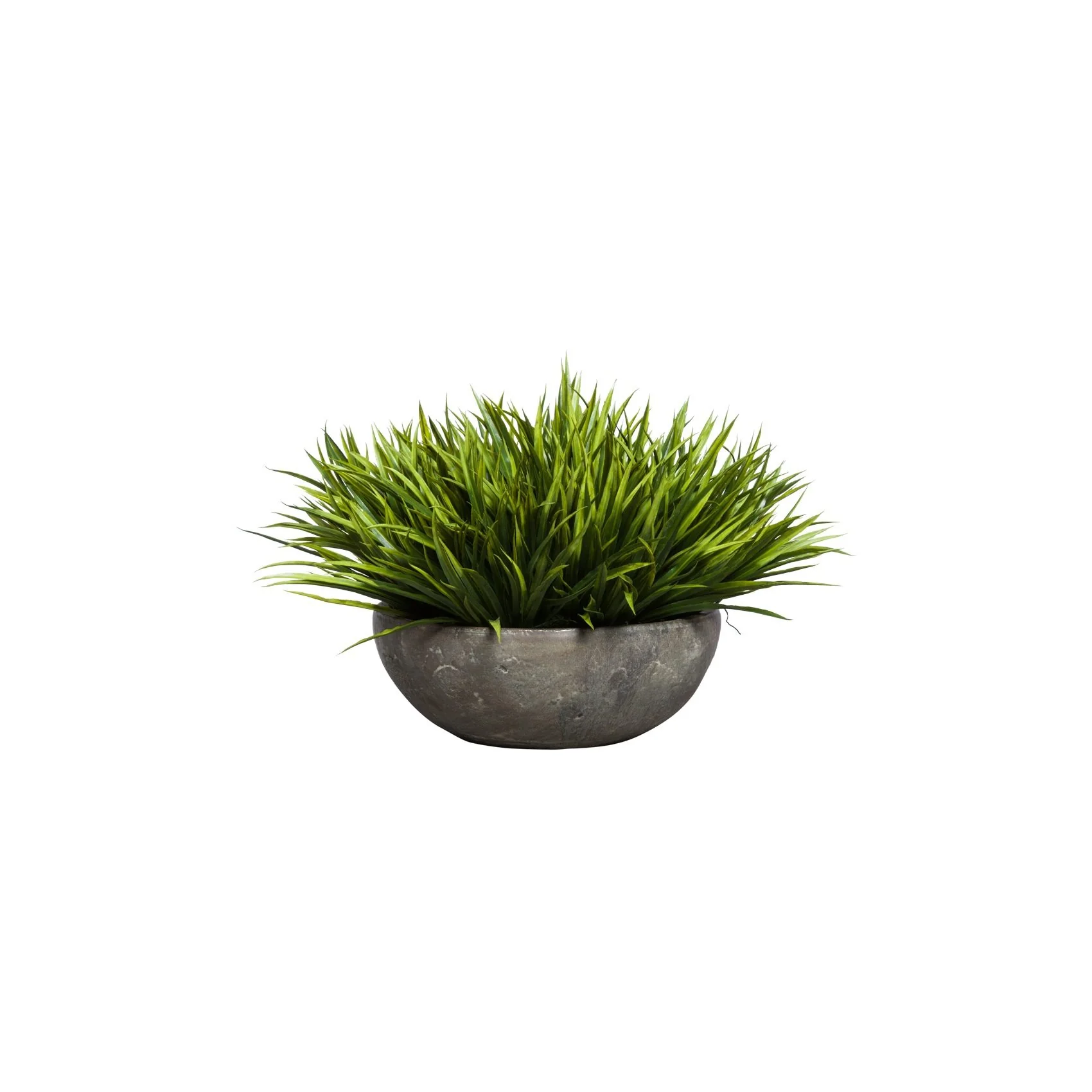 SWORD GRASS IN YARA BOWL