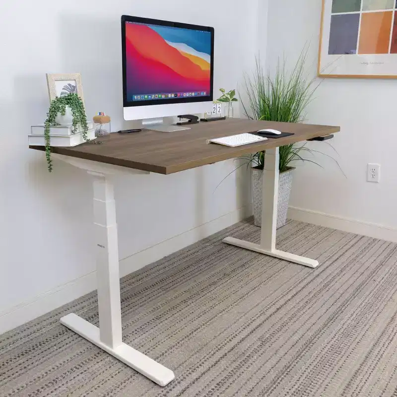 Mount-It! Dual Motor Electric Standing Desk with 55 Tabletop, Brown & White