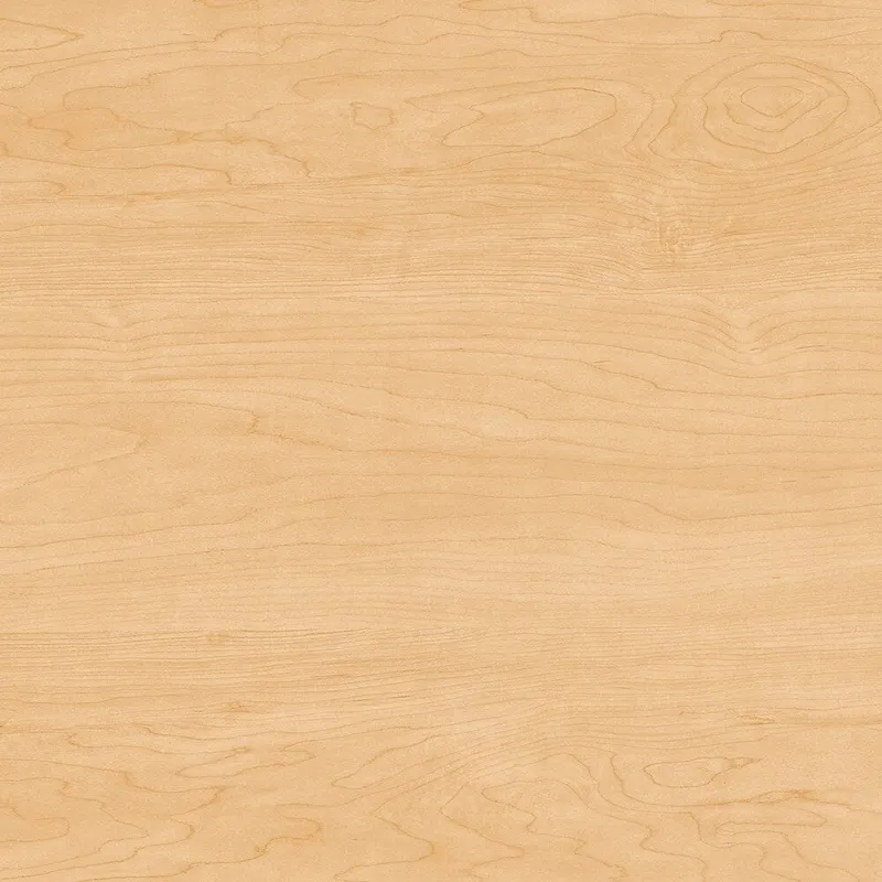 2-Shelf Bookcase Cabinet with Metal Base - Multiple Colors Available