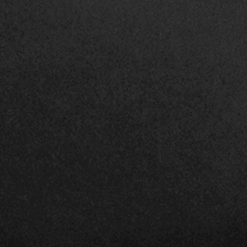 2 Pack 300 lb. Capacity Vinyl Metal Folding Chair with Carrying Handle