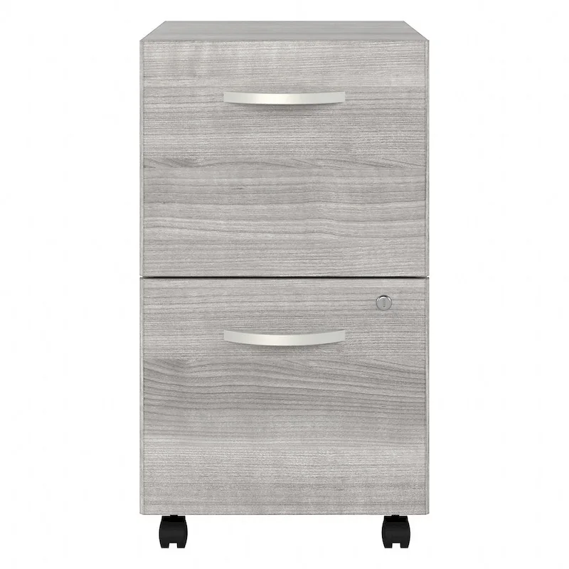 2 Drawer Mobile File Cabinet with Lock and Casters