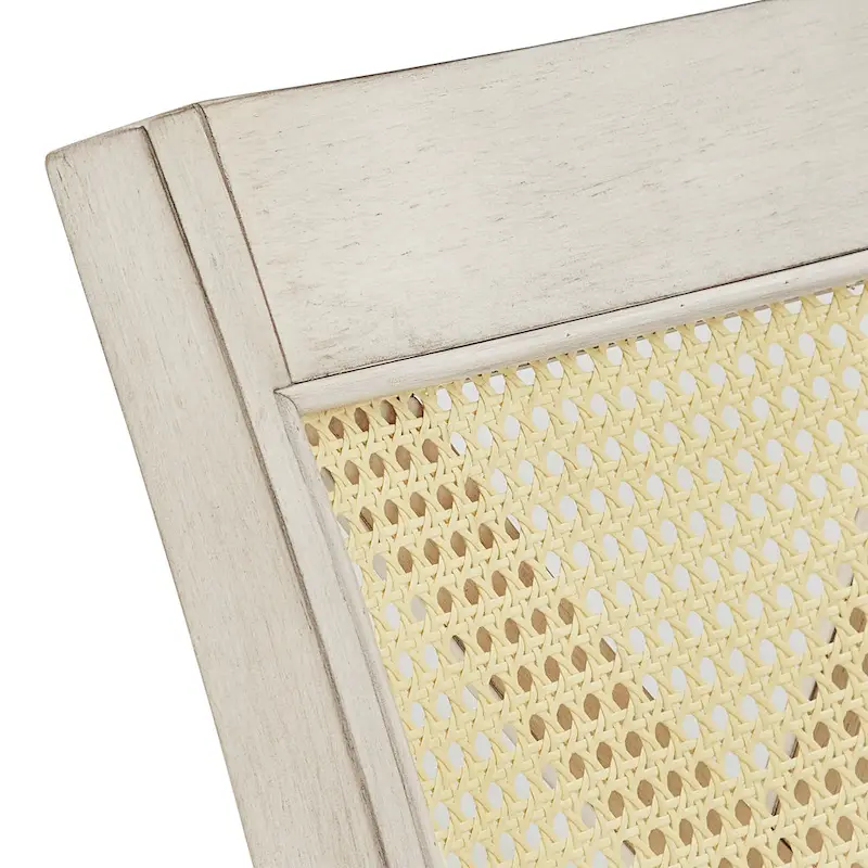 Plaga X-Back Cane Accent Dining Chair (Set of 2) by  - Dining Chair