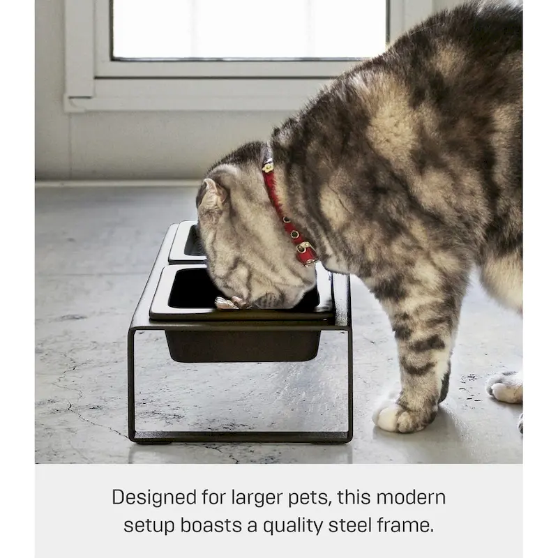 Elevated Pet Food Bowl Stand - Ceramic Bowls with Steel Frame (White/Black)