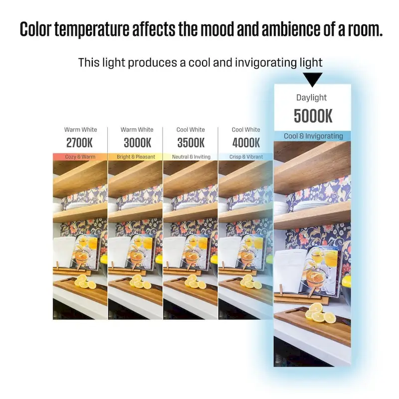 Westinghouse Lighting 9 Watt (60 Watt Equivalent) A19 Daylight LED Light Bulb, Medium Base, 6 Pack - White - 6-Pack