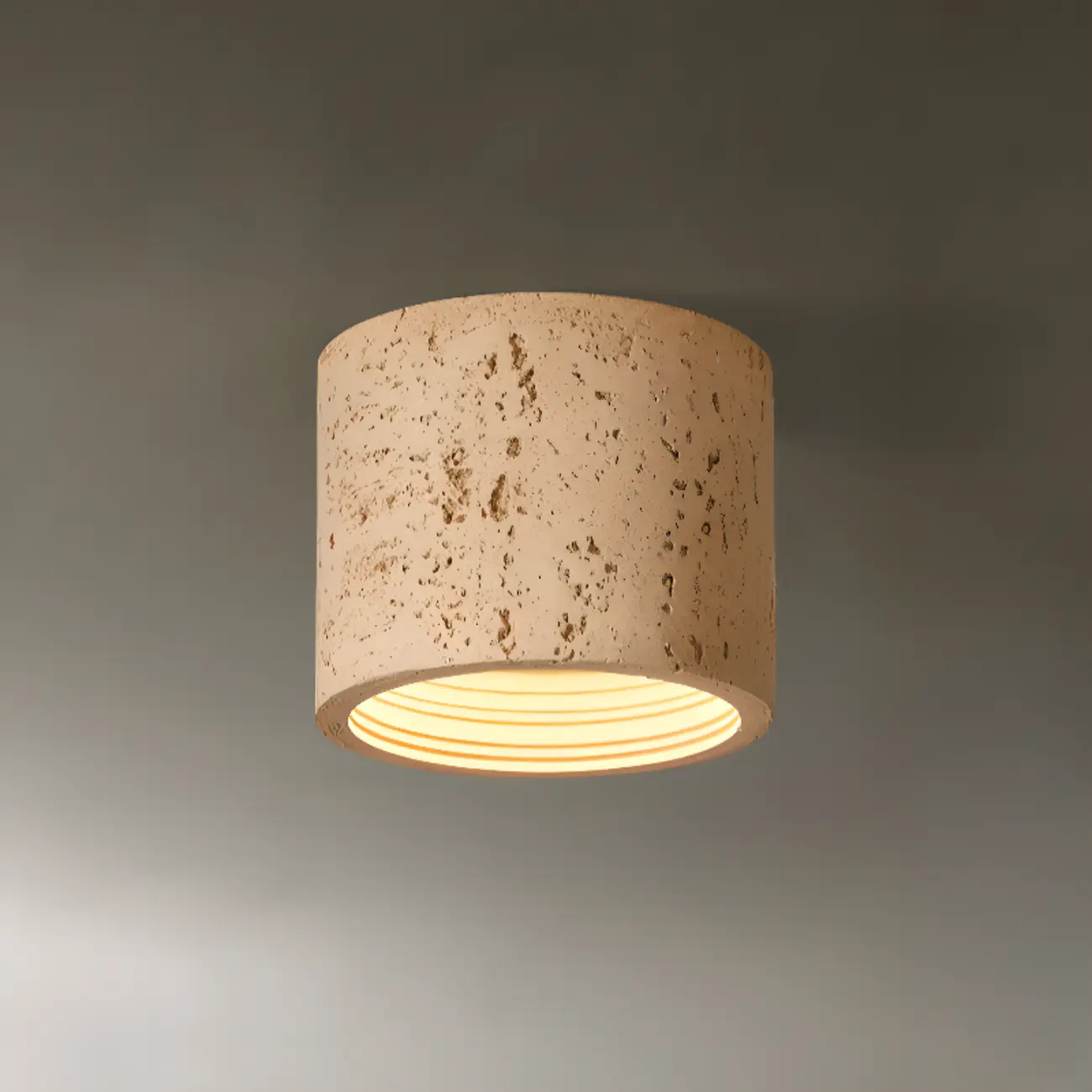 Dimmable Cylinder Flush Mount Ceiling Light for Indoor Use
