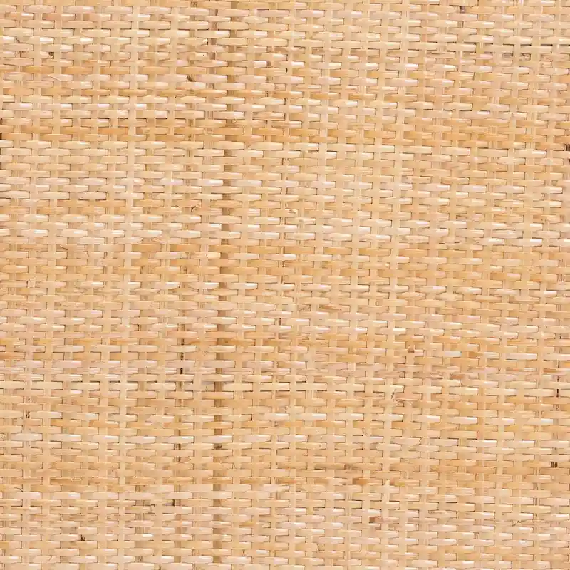 Maryland Modern Bohemian Natural Rattan and Acacia Wood 2-Piece Dining Chair Set