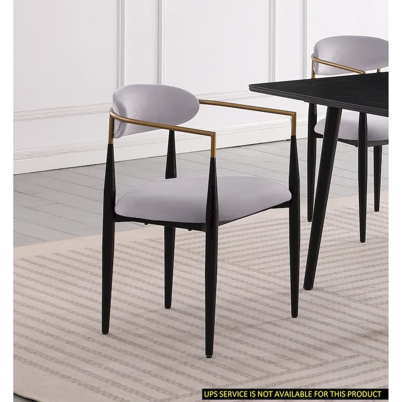Modern Contemporary 2pcs Side Chairs
