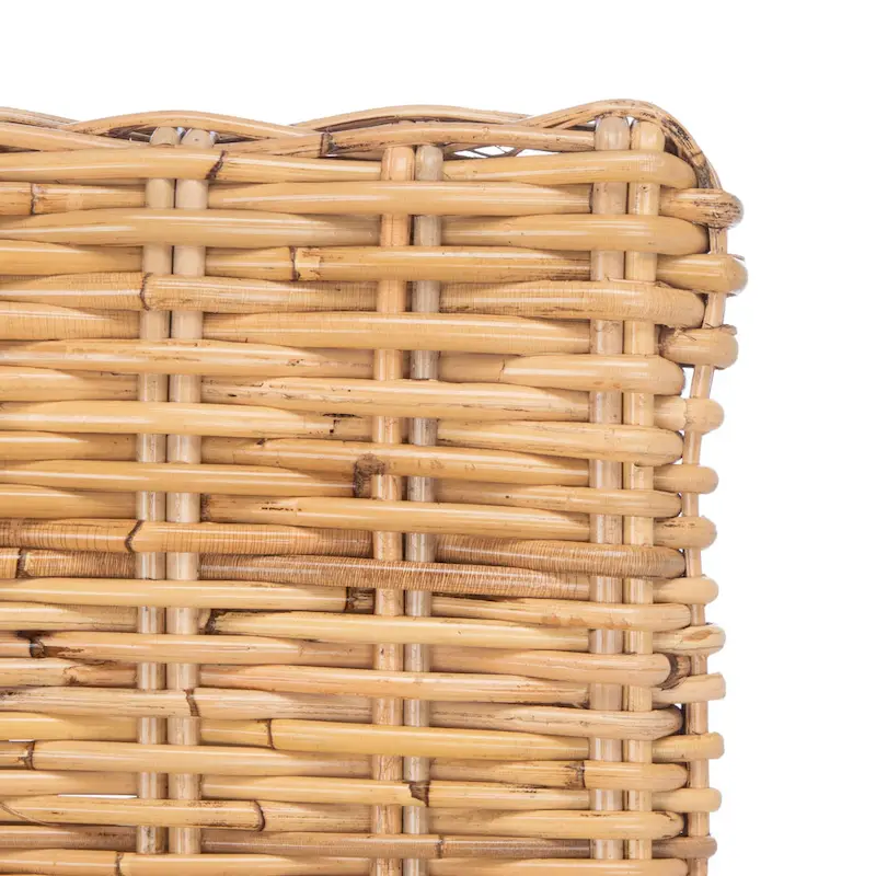 SAFAVIEH Winnifred Coastal Rattan Accent Chair with Cushion - 18.5  W x 22.8  L x 38.2  H - 19Wx23Dx38H