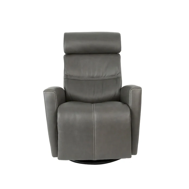 Leather Swing Recliner