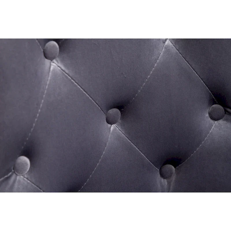 Roundhill Furniture Montura Tufted Velvet Chair (Set of 2)