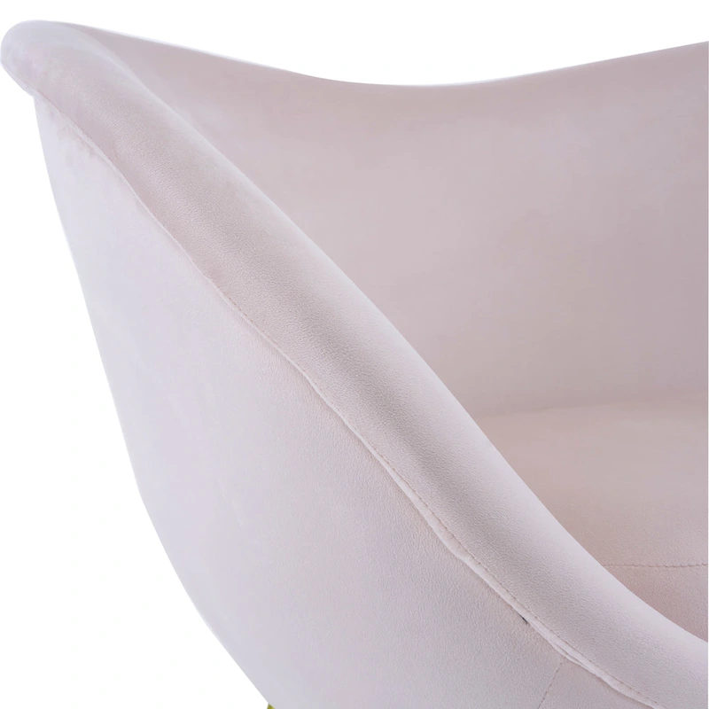 Christopher Knight Home - Eliana Modern Teddy Fabric Accent Chair with Curved Backrest and Gold Legs