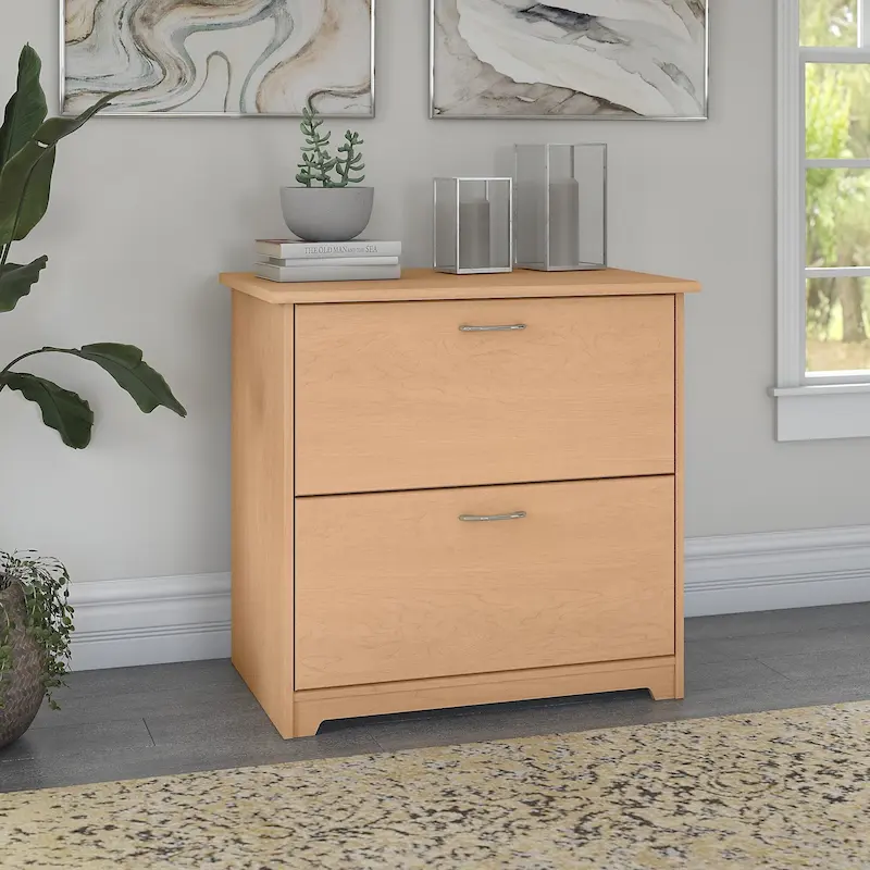 Cabot 2 Drawer Lateral File Cabinet by Bush Furniture