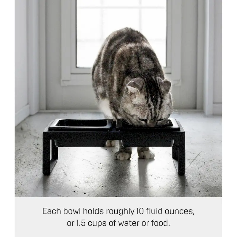 Elevated Pet Food Bowl Stand - Ceramic Bowls with Steel Frame (White/Black)
