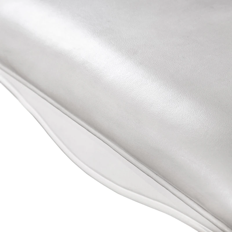 Furniture of America Eugene Traditional Solid Wood Dining Arm Chairs with Nailhead Trim and Cabriole Legs (Set of 2)