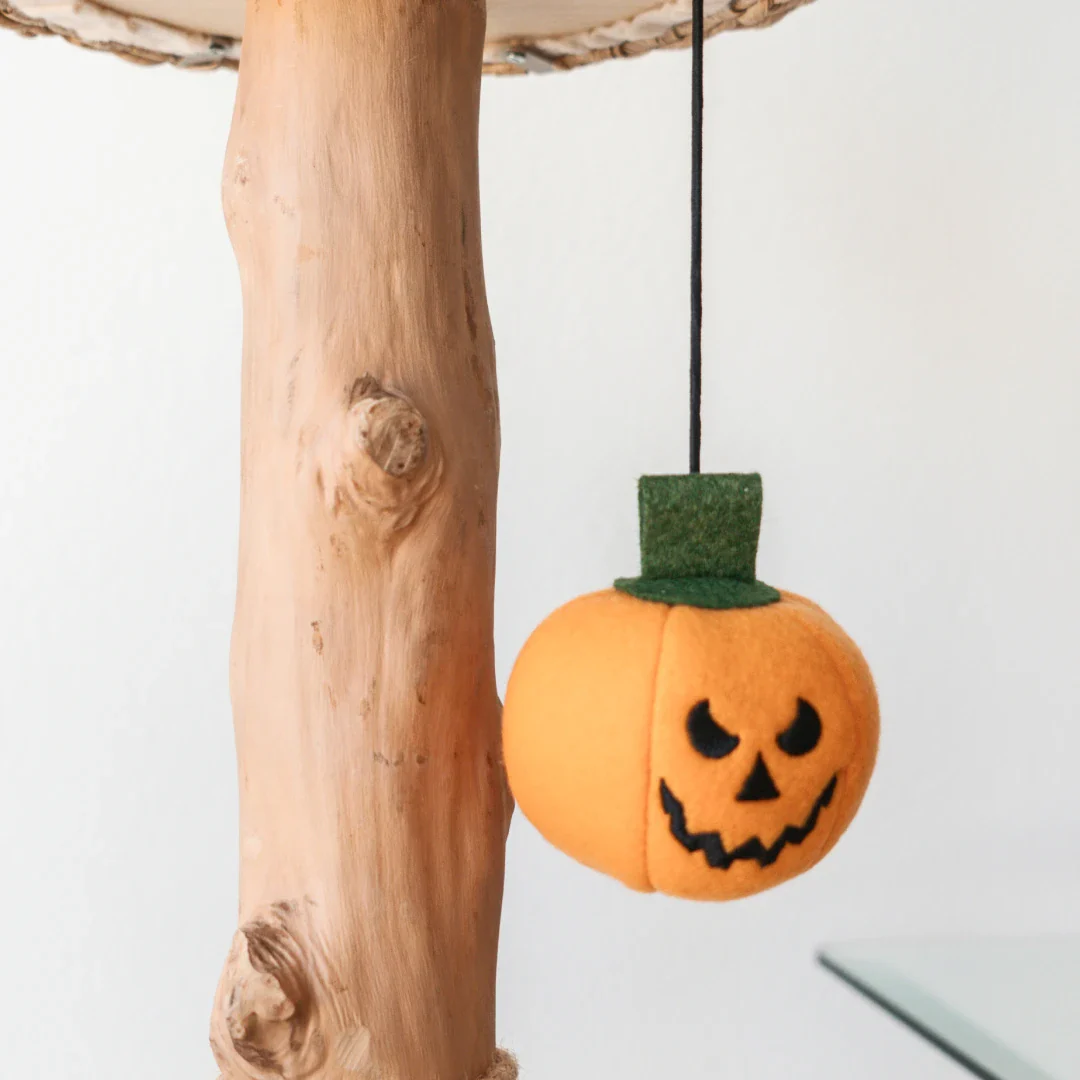 Limited Edition Halloween Pom-Poms