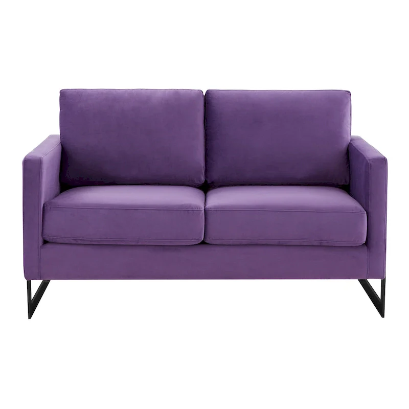 Upholstered Loveseat Sofa in Velvet Fabric with Removable Cushions and Stainless Steel Frame