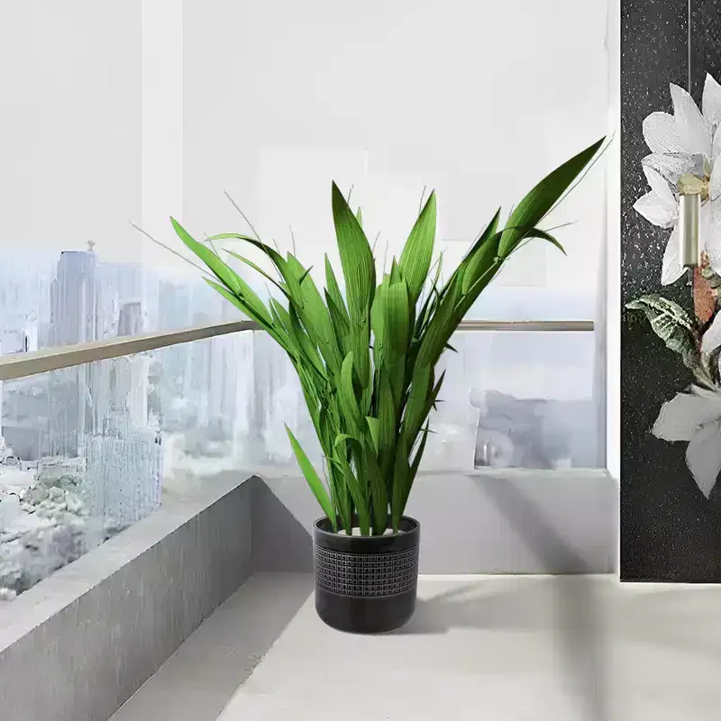 MAYEERTY 3-Piece Ceramic Flowerpot Modern Planter Black for Patio Garden Windowsills