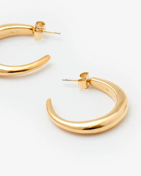 Ring Earrings