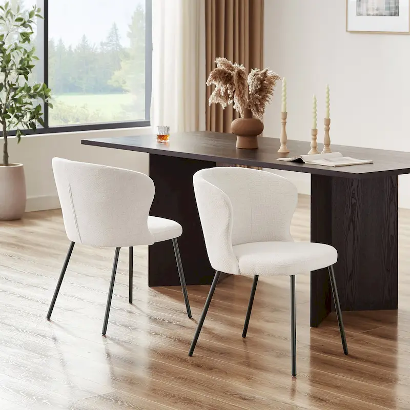 Modern Dining Chairs, Set of 2