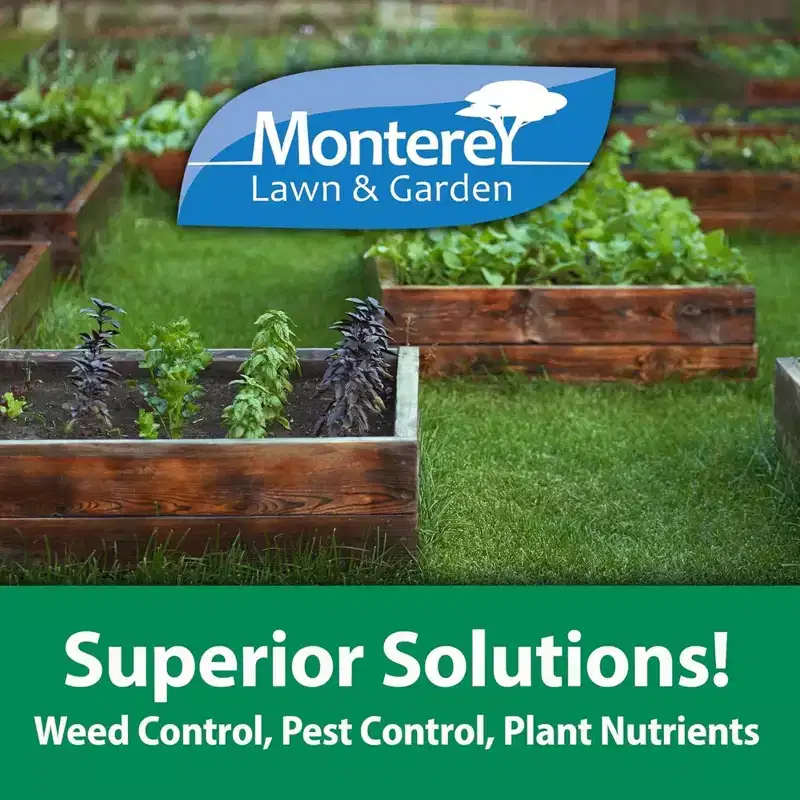 Monterey Turflon Ester Specialty Herbicide Concentrate Broadleaf Weed Killer, 16 oz