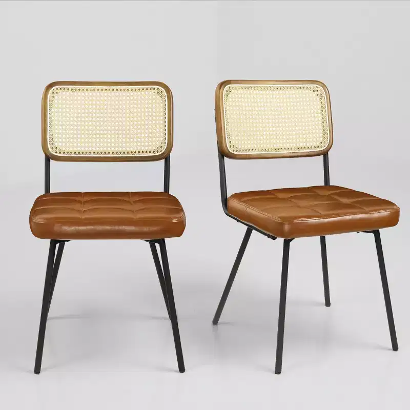 Art Leon Set of 2 Faux Leather Armless Cane Dining Chair with Metal Frame