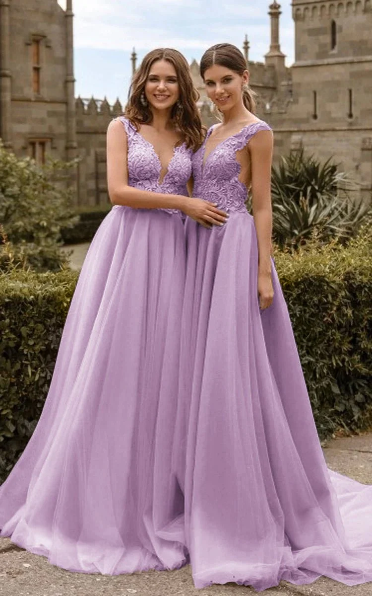 Lace V Neck Bridesmaid Dresses Sexy Illusion Back Tulle Dresses
