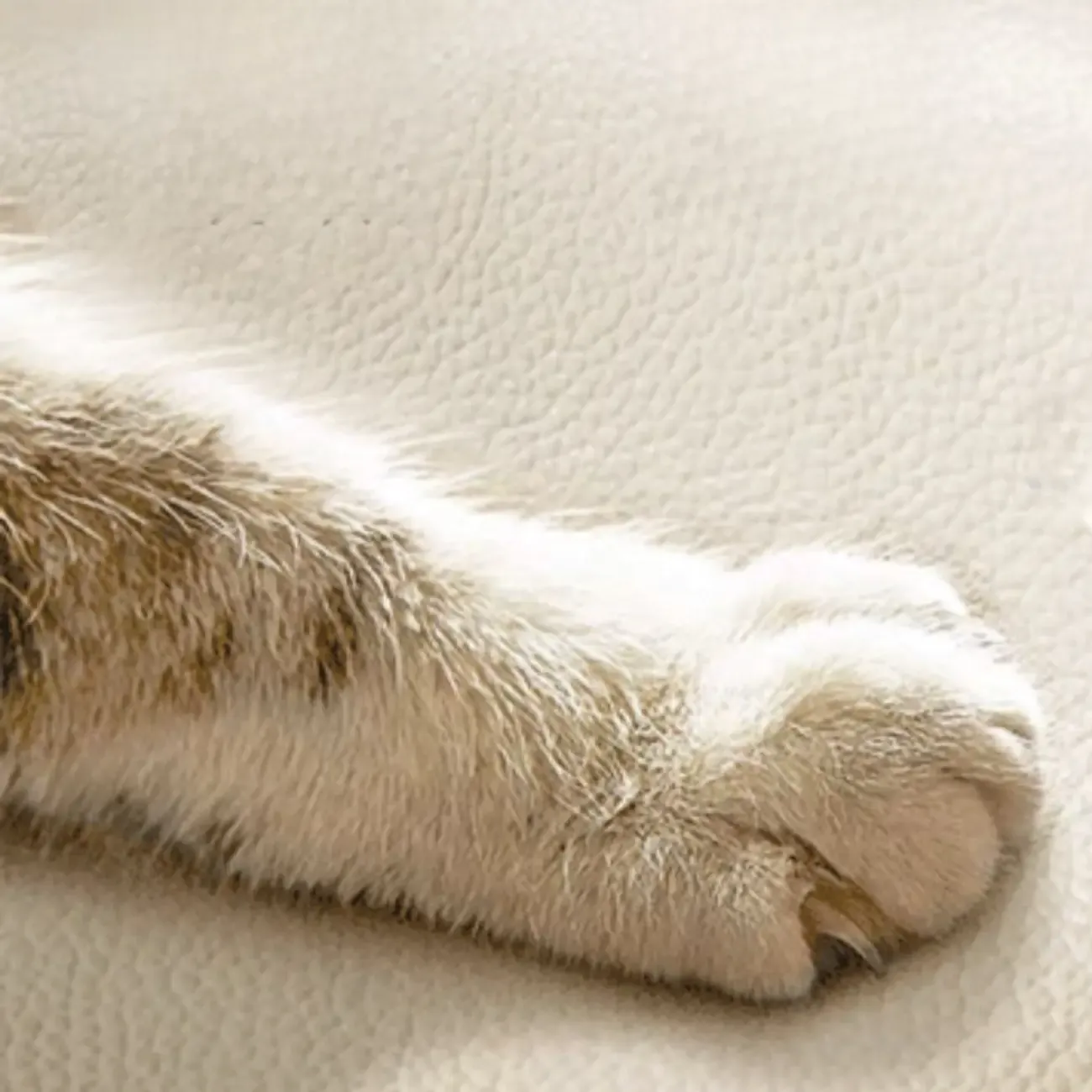 Modern Simple Off-White 3 Drawer Nightstand