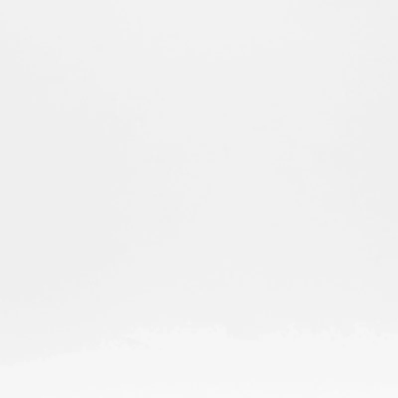 Scott Side Chair in White with Matte Brushed Gold Legs - Set of 2