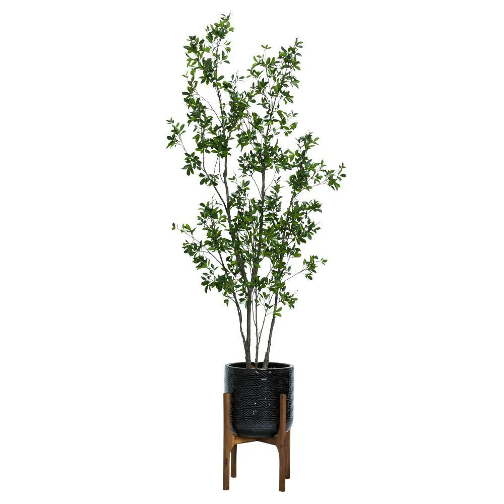 8' ASIAN FICUS IN TEXTURED PLANT STAND